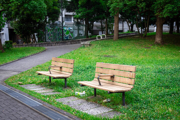Empty wooden bench in a serene public park, surrounded by vibrant green grass and trees. 