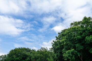 Blue sky with fluffy white clouds on a clear summer day. 