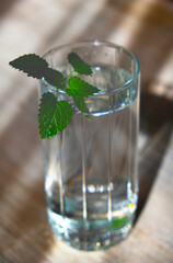 Healthy drinking, glass of water with fresh leaves of mint. Summer cocktail. Spearmint. Wooden table
