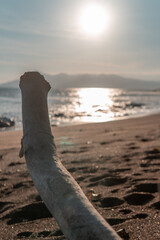A piece of driftwood on a sandy beach facing the ocean with mountains and sunlight in the background. Perfect for nature themes, storytelling, or creative commercial compositions.