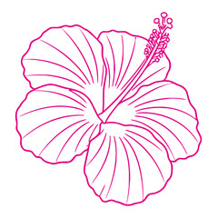Simple outline of a vibrant pink hibiscus flower with detailed petals and stamen on a white background