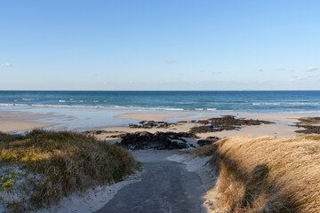Coastal path leading to a calm beach