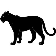 Obraz premium Black panther silhouette standing alert animal feline