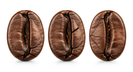 Roasted coffee beans isolated on white background