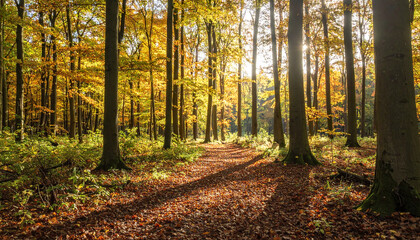 Fototapeta premium Autumn forest path covered with fallen leaves and sunlight filtering through tall trees, creating peaceful and vibrant natural scene in fall season