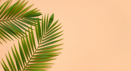 Obraz premium Two vibrant green palm fronds contrast a light peachcolored background creating a fresh tropical aesthetic