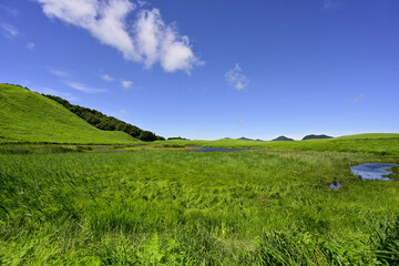 曽爾高原　美しい夏のグリーンカーペット