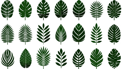 Tropical palm leaf silhouettes in colored outline vector style