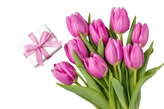 Pink tulips bouquet with gift box. Spring flowers, romantic present.