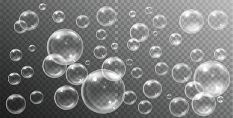 bubbles on transparent background