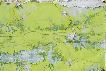 낡은 표면에 갈라지고 벗겨진 연두색 페인트
