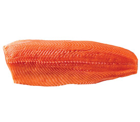 raw atlantic salmon fish fillet