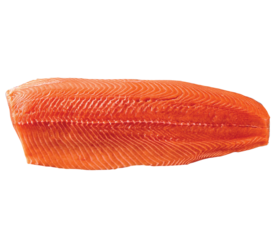raw atlantic salmon fish fillet