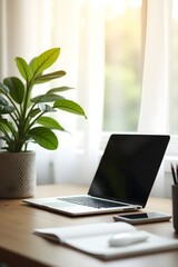 Fototapeta premium Modern laptop on a sleek office desk with a green plant and coffee, bathed in natural light from a nearby window, creating a perfect indoor work environment