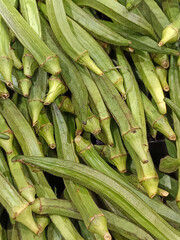 fresh green ladies fingers vegetable 