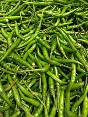 green chilli background