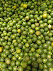 A vibrant close-up of fresh green calamansi limes piled together, showcasing their natural texture and ripeness.
