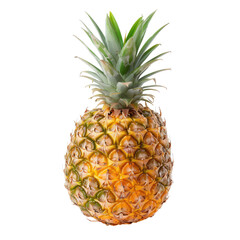 Fototapeta premium Single pineapple, bright yellow-gold rind, vibrant green crown
