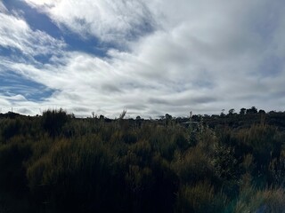 Fototapeta premium Snapshot in Blue Mountains, Australia 2025