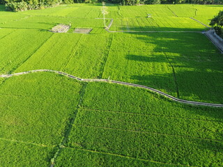Aerial View of Verdant Agricultural Fields With Pathways and Rural Huts