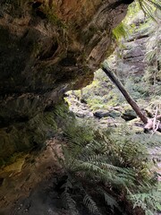 Obraz premium Grand Canyon Walking Track, Blue Mountains, Australia 2025