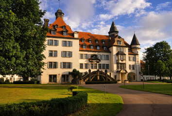 Fototapeta premium castle in the park