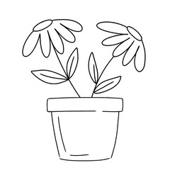 vector illustration of a flower
