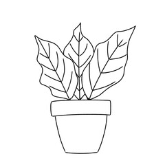 vector illustration of a plant