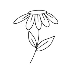 vector illustration of a flower