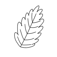 vector illustration of an abstract leaf