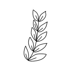 vector illustration of a plant
