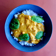 A top view of butter chicken and white rice in a bowl.