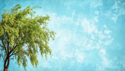 Weeping Willow Tree, Blue Sky, Nature - Pastel colors