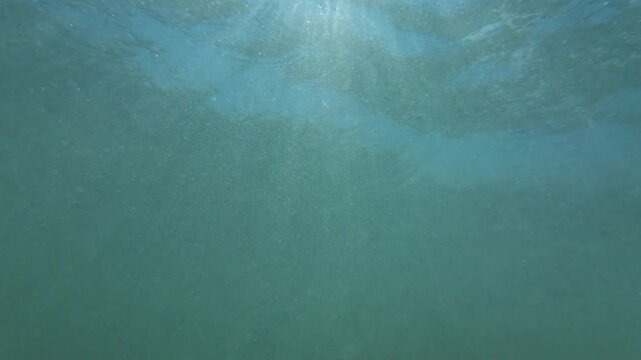 Sunlight from Underwater Slow Motion x4 Filmed at 120fps
