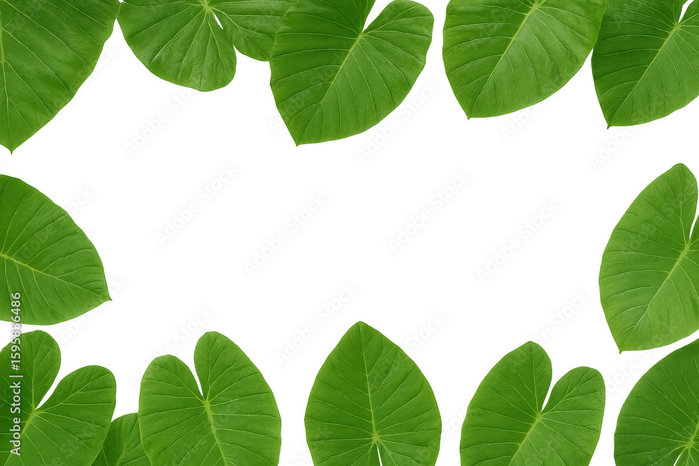 Poster verdant foliage creating organic border with transparent backdrop, offering clean design canvas for 