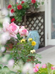 bouquet of roses