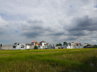 A row of residential houses stands behind green rice fields under a cloudy sky. A mix of rural...