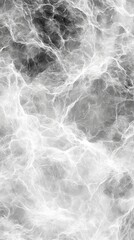 Fototapeta premium Abstract Gray And White Marble Texture Background