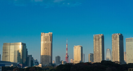 Fototapeta premium 東京勝鬨から見た東京タワー、勝鬨橋から見た浜離宮と東京タワー