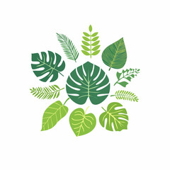 Fototapeta premium Tropical Leaf Arrangement A Circular Composition of Diverse Green Foliage