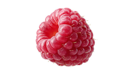Fresh raspberry, vibrant red single berry isolated On Transparent Png Background.