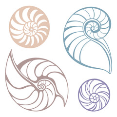 Obraz premium Nautilus shell patterns in pastel colors spiral beige