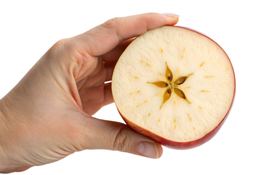 Hand holding sliced apple isolated transparent background