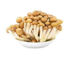 Japanese food golden needle mushroom vegetable on transparent