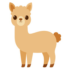 Llama on white background