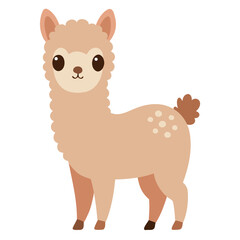 Llama on white background