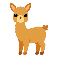 Llama on white background