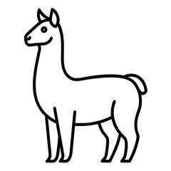 Llama on white background
