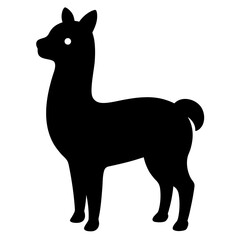 Llama on white background