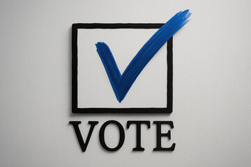 Vote Graphic with a Blue Check Mark Inside a Square Box on a White Background for Elections